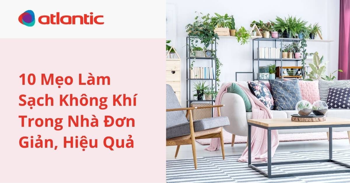 10 Mẹo Đơn Giản Cho “không Khí Trong Lành” Trong Ngôi Nhà Bạn!